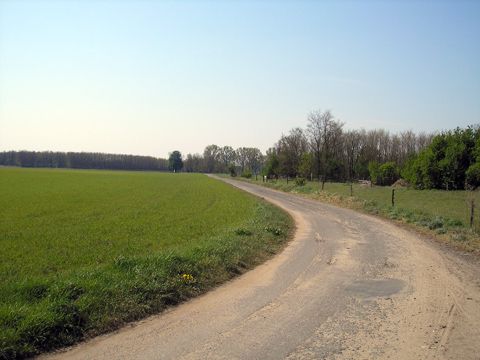 Foto 50